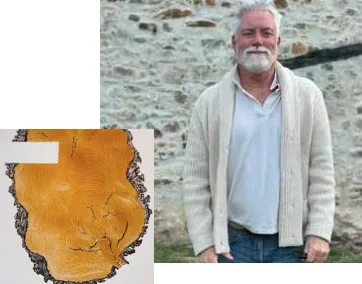 Mathieu James dessin, exposition artistique à Maison Salié Pays Basque